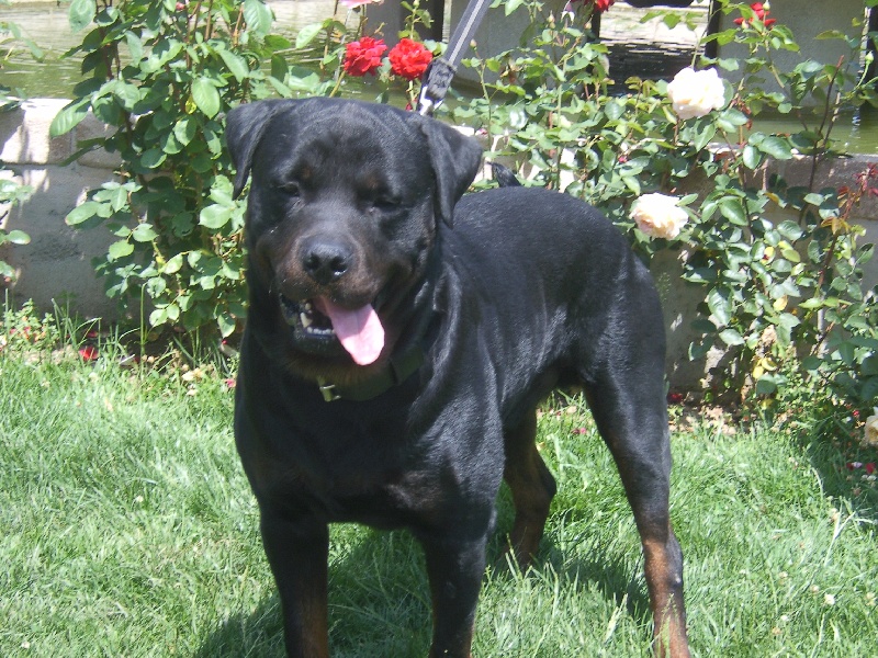 Ulf vom Kathrinenhof